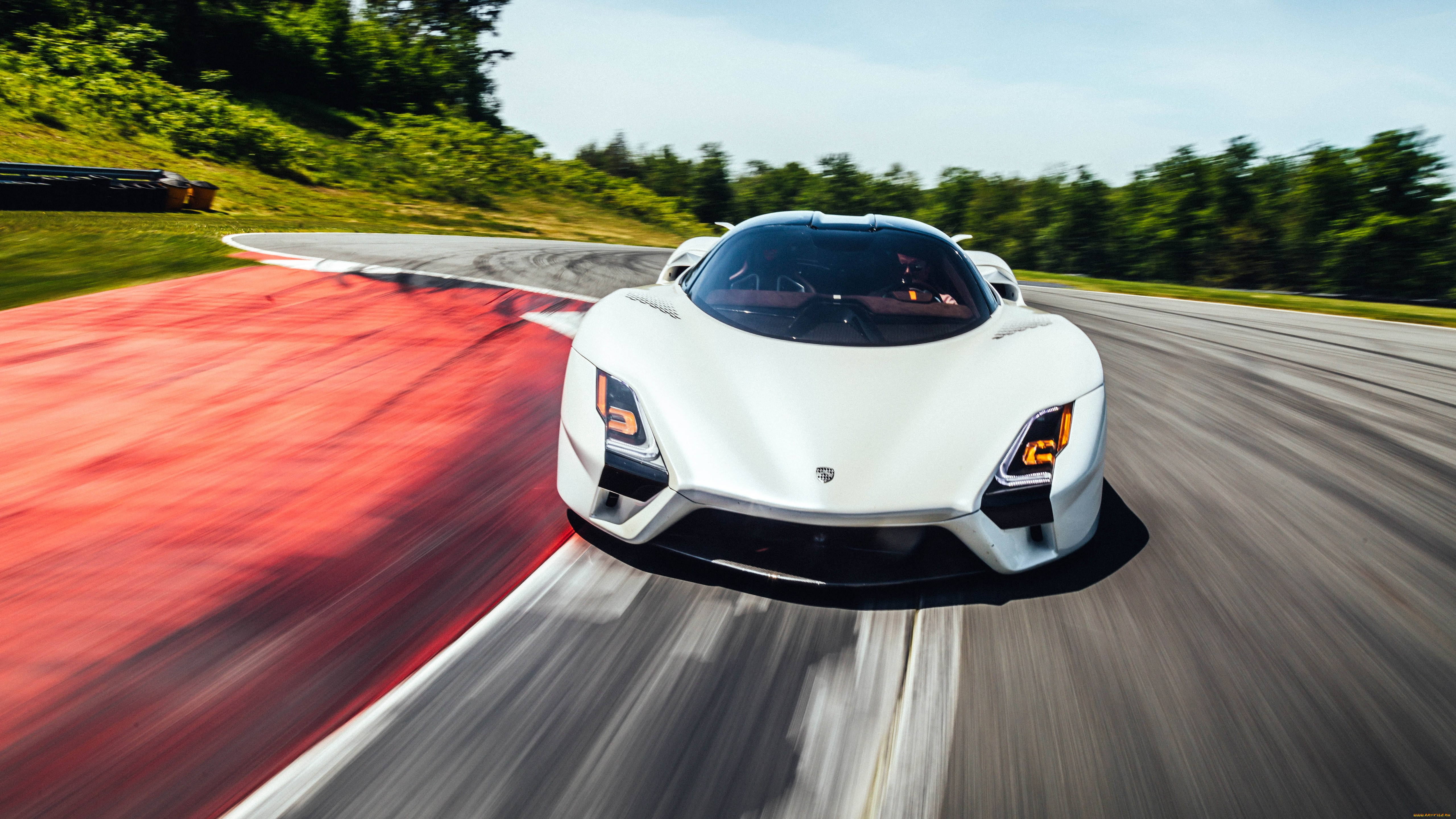 ssc tuatara, , -unsort, , , , 